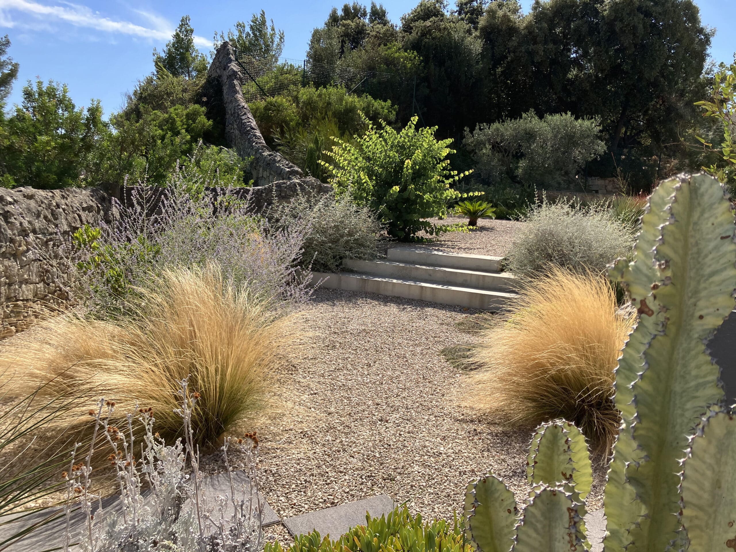 Jardin méditerranéen sec avec graminées dorées, gravier et escalier en pierre sous un ciel bleu.